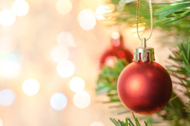 Noel süsü. Çam dallarına kırmızı toplar asmak Noel 'de