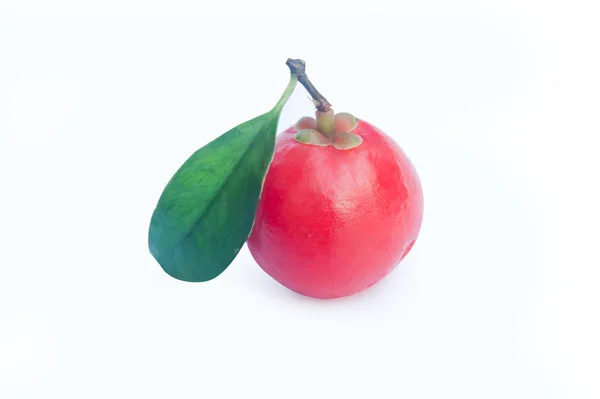 Garcinia Cowa Roxb Owoce Madan Czerwony Izolowany Białym Tle Ścieżką — Zdjęcie stockowe