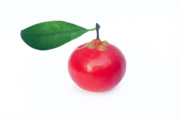 Garcinia Cowa Roxb Ovoce Madan Červená Izolované Bílém Pozadí Výstřižkem — Stock fotografie