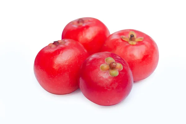 Garcinia Cowa Roxb Owoce Madan Czerwony Izolowany Białym Tle Ścieżką — Zdjęcie stockowe