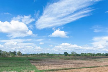 Mavi arkaplanda sirus ve kümülüs bulutları.