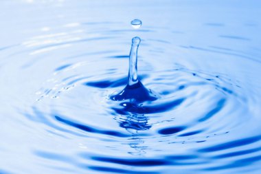 Su damlası su yüzeyine çarpıyor. Su yüzeyinde halka oluşturur..