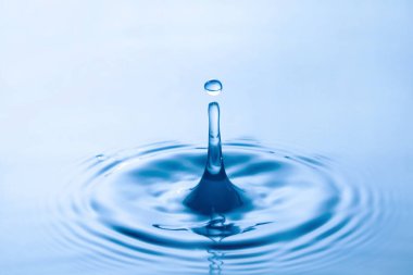 Su damlası su yüzeyine çarpıyor. Su yüzeyinde halka oluşturur..