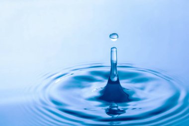 Su damlası su yüzeyine çarpıyor. Su yüzeyinde halka oluşturur..