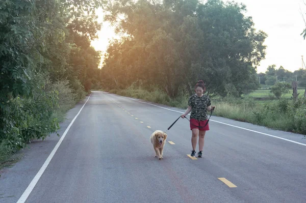 Asian woman with her golden retriever dog walking on the public road