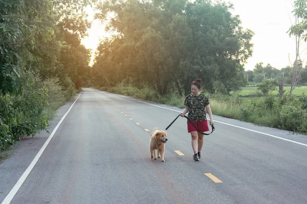 Asian woman with her golden retriever dog walking on the public road