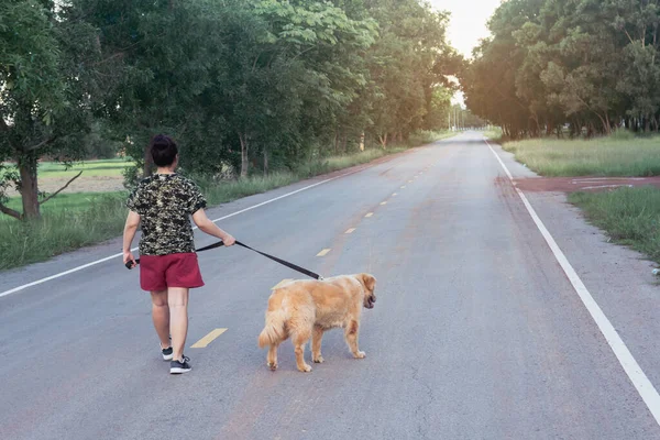 Asian woman with her golden retriever dog walking on the public road