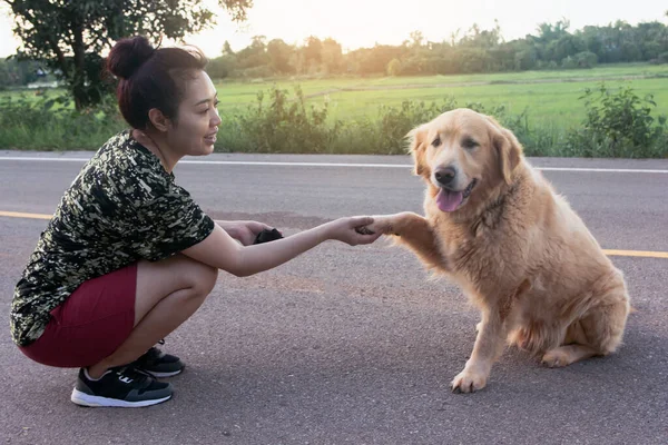 Asian woman holding the paw of a golden retriever dog, handshake, Friendship between human and do