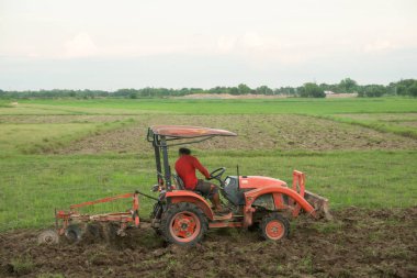 Traktör çiftlikte ekin için tarla sürüyor.