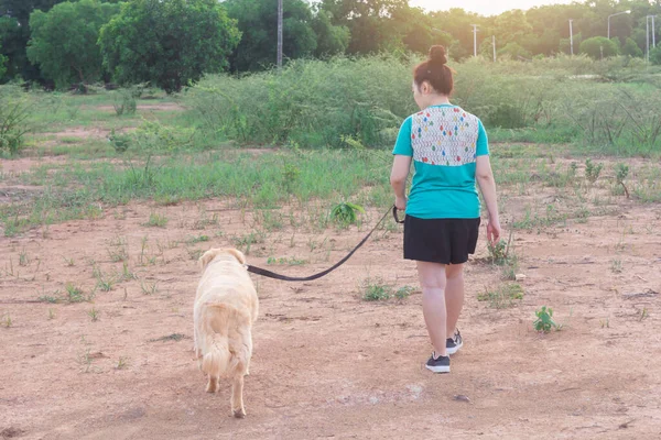 Asian woman with her golden retriever dog walking on the public par