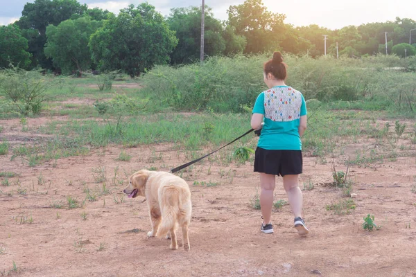 Asian woman with her golden retriever dog walking on the public par