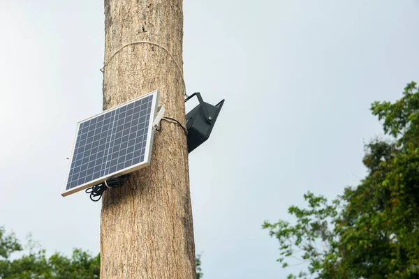 Solar cell install on the tre