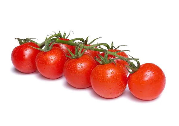 Tomates cereja frescos com gotas de água isoladas sobre fundo branco — Fotografia de Stock
