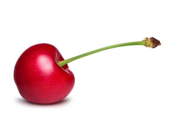 Cherry matang terisolasi pada latar belakang putih — Stok Foto