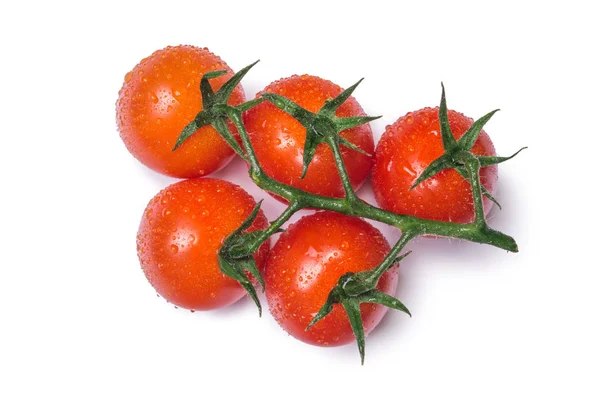 Черри томатная ветвь изолированы на белом фоне — стоковое фото