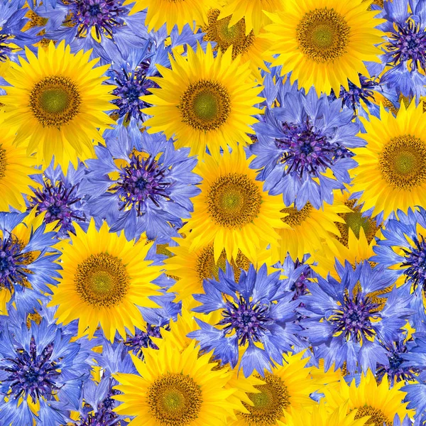 Naadloze patroon met heldere korenbloemen en zonnebloemen. Blauwe en gele bloemen — Stockfoto