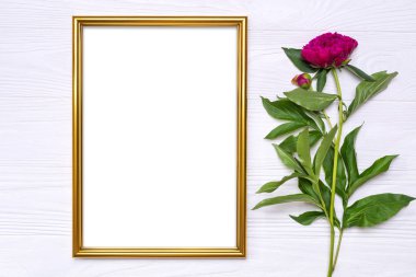 Şakayık Çiçeği ve beyaz ahşap zemin üzerinde altın bir çerçeve