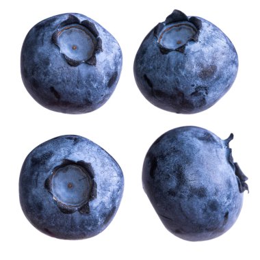 Beyaz arka plan üzerinde izole yaban mersini. Makro fotoğraf