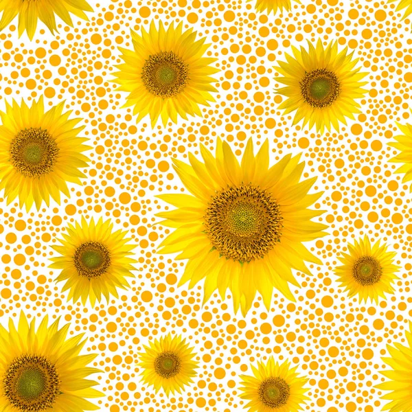 Seamless mönster med stora ljusa solrosor och prickar på gul bakgrund — Stockfoto