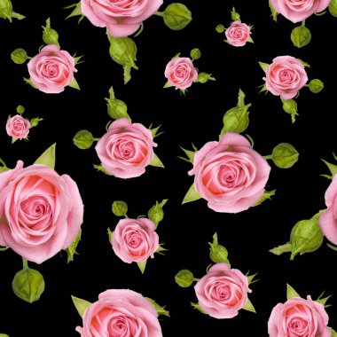 Beyaz bir arka plan üzerinde pembe bir gül ile Seamless Modeli