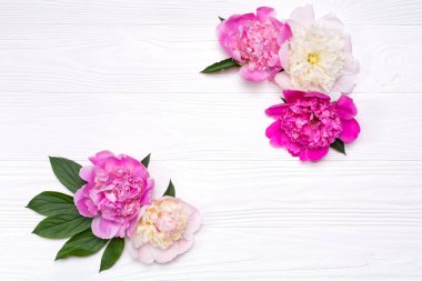 Beyaz ahşap zemin üzerinde köşe peonies çiçek. Yukarıdan görüntülemek