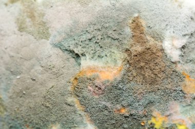 Doğal doku kalıp meyve. Çürük arka plan