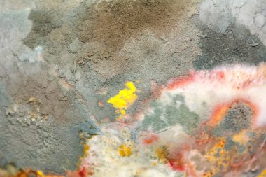 Doğal doku kalıp meyve. Çürük arka plan