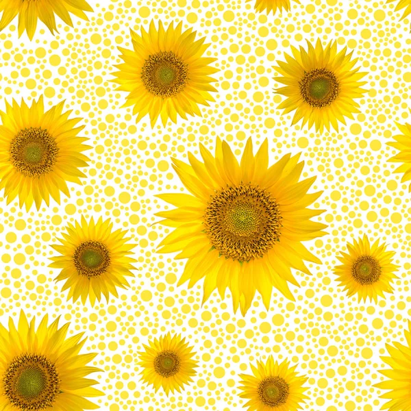 Modello Senza Cuciture Con Grandi Girasoli Luminosi Punti Sfondo Giallo — Foto Stock