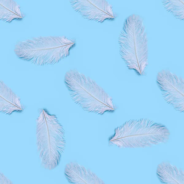Padrão sem costura de penas de cisne branco em um fundo azul — Fotografia de Stock