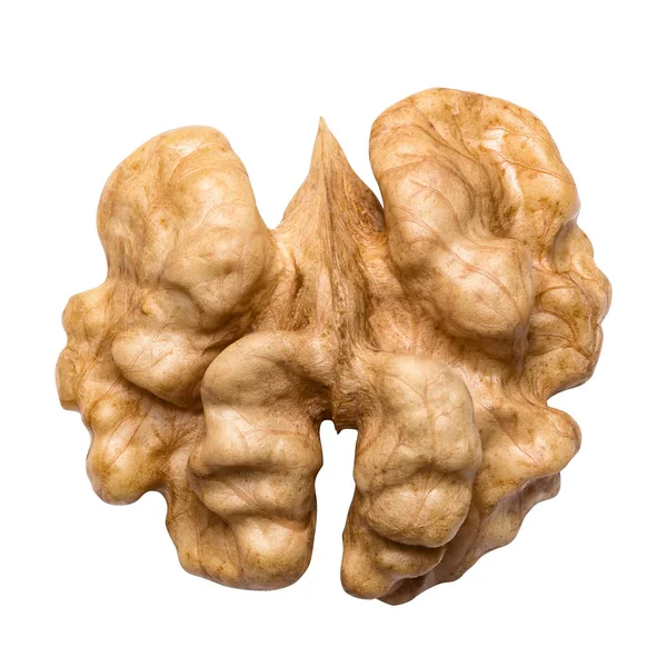 Beyaz arka plan üzerinde izole ceviz çekirdek