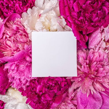 Bir buket peonies ve içinde bir not. Bahar mor çiçekler