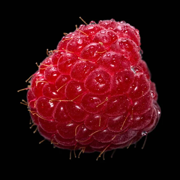 Fresh Ripe Raspberry Water Drops Isolated Black Background Macro Shot — Stock Photo, Image