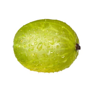 Beyaz arka planda taze olgun bektaşi üzümü izole edilmiş. Su damlalı dutlar.