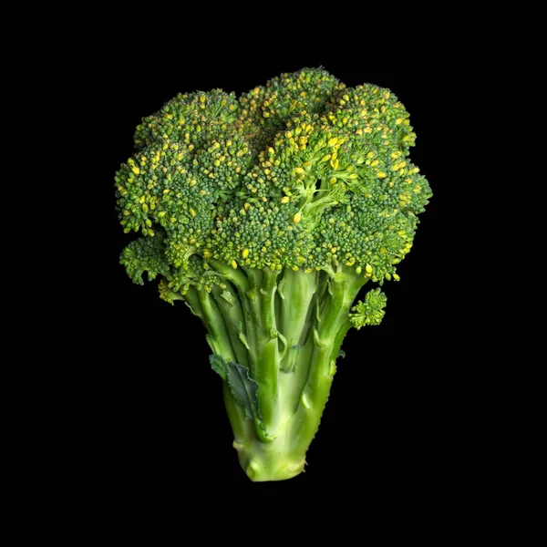 Fresh Broccoli Isolated Black Background — Stock Photo, Image