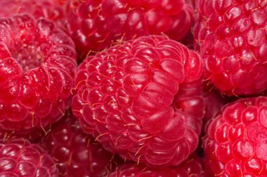 Taze olgun ahududu yakından. Böğürtlen arka planı