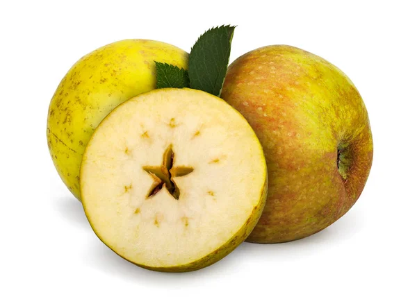 这是一个古老的驯化苹果品种 原产于法国 这是一个美味的甜点苹果 具有令人愉快的温和干燥的味道 — 图库照片