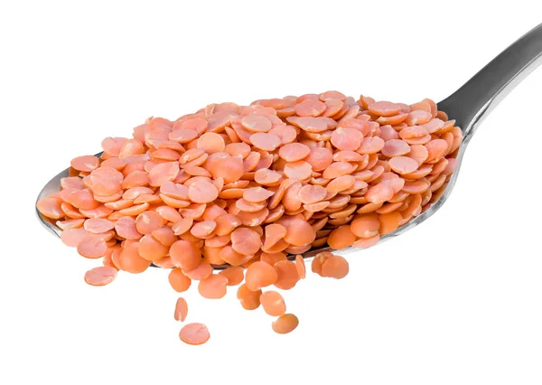 Red Lentils Bushy Annual Plant Known Its Lens Shaped Seeds — Stock Photo, Image