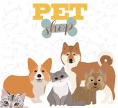 Illustration mit Hunden und Katzen. Poster für Zoohandlung Poster. editierbare Vektorabbildung
