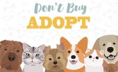 Illustration mit Hunden und Katzen. Poster für Haustier-Adaption Poster. editierbare Vektorabbildung