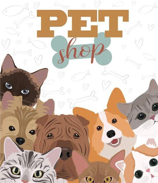 Ilustração Com Cães Gatos Cartaz Para Cartaz Loja Animais Ilustração —  Vetores de Stock