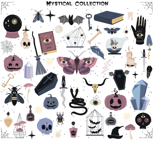 Conjunto Elementos Místicos Para Festa Halloween Ilustração Vetorial Editável — Vetor de Stock