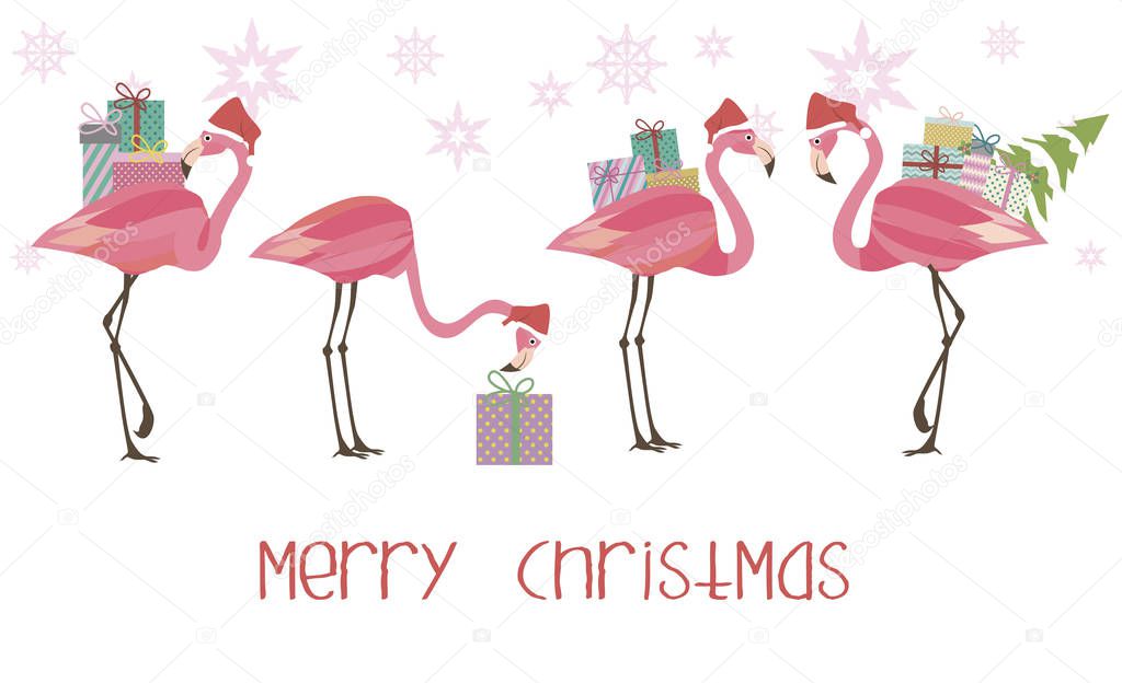 Set cute flamingo and gift boxes. Merry Christmas illustration.  Editable vector illustration