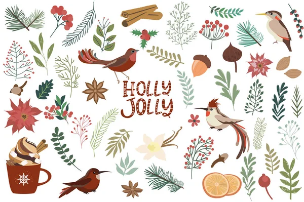 收集元素为圣诞快乐和新年快乐与圣诞花卉 香料和鸟类 可编辑的矢量插图 — 图库矢量图片
