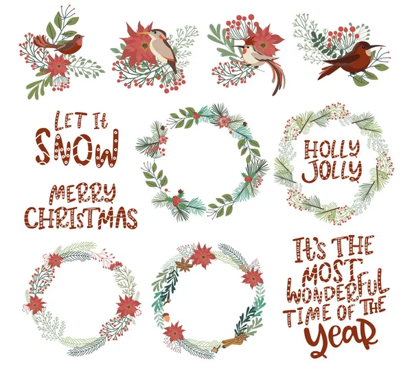 收集元素为圣诞快乐和新年快乐与圣诞花卉 香料和鸟类 可编辑的矢量插图 — 图库矢量图片