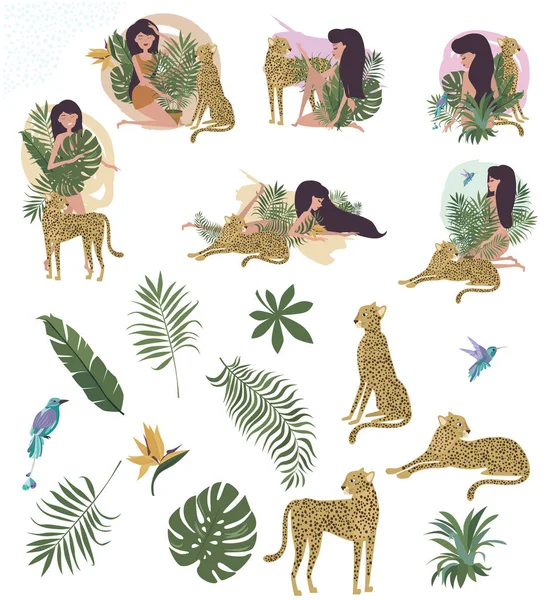 Conjunto Plantas Tropicais Mulheres Leopardos Ilustração Seja Selvagem Cartão Selva — Vetor de Stock