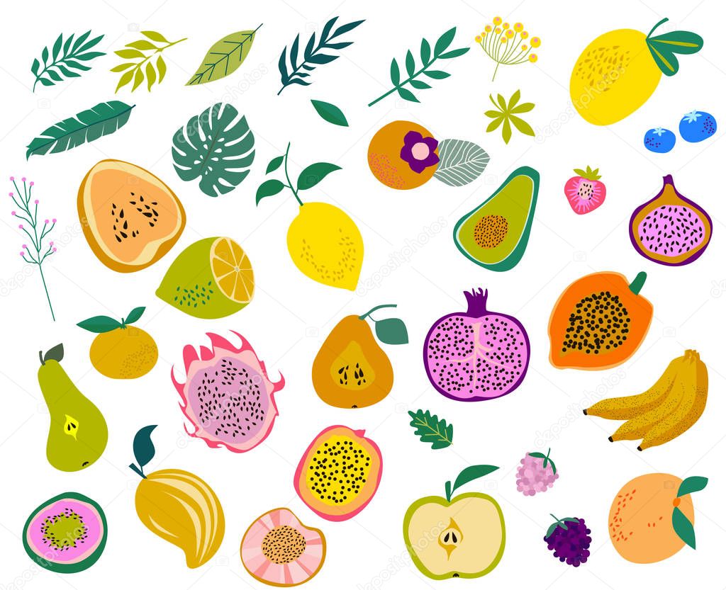 Set of tropical fruits and leaves. Editable vector illustration