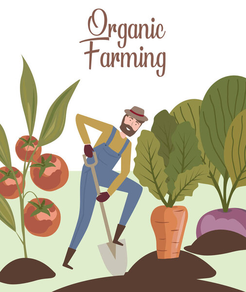 В том числе в том числе и в том числе.