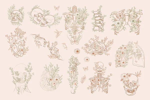 Set of Vintage Floral Anatomy elements in one line. Human skeleton and inner organs with flowers and leaves. Editable vector illustration. — Stock Illustration Set Vintage Floral Anatomy Elements One Line Human Skeleton Inner Vector Graphics