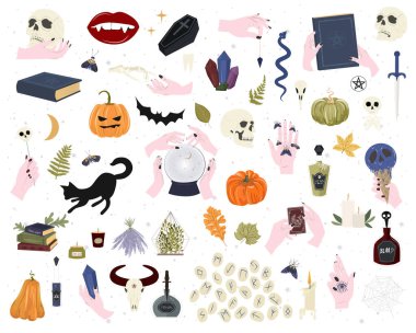 Cadılar Bayramı partisi için bir dizi mistik unsur. Kafatası, balkabağı, sihirli sembol, kristal küre, yarasa. Düzenlenebilir vektör illüstrasyonu.