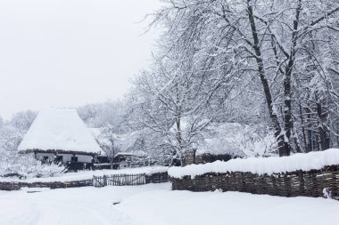Romanya 'nın Sibiu kentindeki Astra Köy Müzesi' nden kış manzaraları